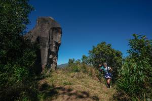 BIB: 
                            <button type="button" onclick="openModal(26575100)" class="btn btn-primary btn-sm float-right btn-popup" data-toggle="modal" data-target=".modal-high-quality">
                        <i class="fas fa-shopping-cart"></i> Add to Cart
                    </button>
                                            <button type="button" onclick="isThisMe(26575100, true)" class="btn btn-success btn-sm float-right btn-popup btn-isme hidden" data-toggle="tooltip" data-placement="bottom" title="นี่คือรูปของคุณใช่ไหม คลิกที่นี่เพื่อเอาเข้าอัลบั้ม">
                        <i class="fas fa-plus"></i> Add to album
                    </button>
                    <button type="button" onclick="isThisMe(26575100, false)" class="btn btn-warning btn-sm float-right btn-popup btn-isnotme hidden">
                        <i class="fas fa-ban"></i> Remove from album
                    </button>