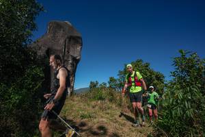 BIB: 
                            <button type="button" onclick="openModal(26574627)" class="btn btn-primary btn-sm float-right btn-popup" data-toggle="modal" data-target=".modal-high-quality">
                        <i class="fas fa-shopping-cart"></i> Add to Cart
                    </button>
                                            <button type="button" onclick="isThisMe(26574627, true)" class="btn btn-success btn-sm float-right btn-popup btn-isme hidden" data-toggle="tooltip" data-placement="bottom" title="นี่คือรูปของคุณใช่ไหม คลิกที่นี่เพื่อเอาเข้าอัลบั้ม">
                        <i class="fas fa-plus"></i> Add to album
                    </button>
                    <button type="button" onclick="isThisMe(26574627, false)" class="btn btn-warning btn-sm float-right btn-popup btn-isnotme hidden">
                        <i class="fas fa-ban"></i> Remove from album
                    </button>