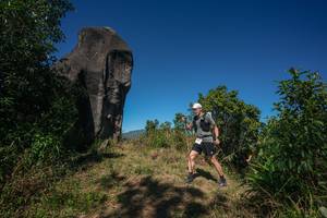 BIB: 
                            <button type="button" onclick="openModal(26576938)" class="btn btn-primary btn-sm float-right btn-popup" data-toggle="modal" data-target=".modal-high-quality">
                        <i class="fas fa-shopping-cart"></i> Add to Cart
                    </button>
                                            <button type="button" onclick="isThisMe(26576938, true)" class="btn btn-success btn-sm float-right btn-popup btn-isme hidden" data-toggle="tooltip" data-placement="bottom" title="นี่คือรูปของคุณใช่ไหม คลิกที่นี่เพื่อเอาเข้าอัลบั้ม">
                        <i class="fas fa-plus"></i> Add to album
                    </button>
                    <button type="button" onclick="isThisMe(26576938, false)" class="btn btn-warning btn-sm float-right btn-popup btn-isnotme hidden">
                        <i class="fas fa-ban"></i> Remove from album
                    </button>