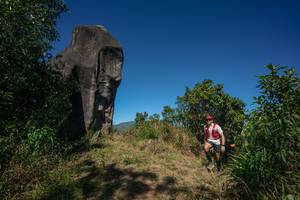 BIB: 
                            <button type="button" onclick="openModal(26576146)" class="btn btn-primary btn-sm float-right btn-popup" data-toggle="modal" data-target=".modal-high-quality">
                        <i class="fas fa-shopping-cart"></i> Add to Cart
                    </button>
                                            <button type="button" onclick="isThisMe(26576146, true)" class="btn btn-success btn-sm float-right btn-popup btn-isme hidden" data-toggle="tooltip" data-placement="bottom" title="นี่คือรูปของคุณใช่ไหม คลิกที่นี่เพื่อเอาเข้าอัลบั้ม">
                        <i class="fas fa-plus"></i> Add to album
                    </button>
                    <button type="button" onclick="isThisMe(26576146, false)" class="btn btn-warning btn-sm float-right btn-popup btn-isnotme hidden">
                        <i class="fas fa-ban"></i> Remove from album
                    </button>