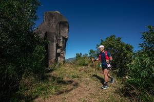 BIB: 
                            <button type="button" onclick="openModal(26573869)" class="btn btn-primary btn-sm float-right btn-popup" data-toggle="modal" data-target=".modal-high-quality">
                        <i class="fas fa-shopping-cart"></i> Add to Cart
                    </button>
                                            <button type="button" onclick="isThisMe(26573869, true)" class="btn btn-success btn-sm float-right btn-popup btn-isme hidden" data-toggle="tooltip" data-placement="bottom" title="นี่คือรูปของคุณใช่ไหม คลิกที่นี่เพื่อเอาเข้าอัลบั้ม">
                        <i class="fas fa-plus"></i> Add to album
                    </button>
                    <button type="button" onclick="isThisMe(26573869, false)" class="btn btn-warning btn-sm float-right btn-popup btn-isnotme hidden">
                        <i class="fas fa-ban"></i> Remove from album
                    </button>