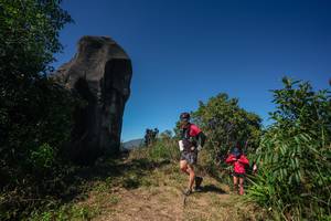 BIB: 
                            <button type="button" onclick="openModal(26583818)" class="btn btn-primary btn-sm float-right btn-popup" data-toggle="modal" data-target=".modal-high-quality">
                        <i class="fas fa-shopping-cart"></i> Add to Cart
                    </button>
                                            <button type="button" onclick="isThisMe(26583818, true)" class="btn btn-success btn-sm float-right btn-popup btn-isme hidden" data-toggle="tooltip" data-placement="bottom" title="นี่คือรูปของคุณใช่ไหม คลิกที่นี่เพื่อเอาเข้าอัลบั้ม">
                        <i class="fas fa-plus"></i> Add to album
                    </button>
                    <button type="button" onclick="isThisMe(26583818, false)" class="btn btn-warning btn-sm float-right btn-popup btn-isnotme hidden">
                        <i class="fas fa-ban"></i> Remove from album
                    </button>