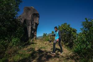 BIB: 
                            <button type="button" onclick="openModal(26576586)" class="btn btn-primary btn-sm float-right btn-popup" data-toggle="modal" data-target=".modal-high-quality">
                        <i class="fas fa-shopping-cart"></i> Add to Cart
                    </button>
                                            <button type="button" onclick="isThisMe(26576586, true)" class="btn btn-success btn-sm float-right btn-popup btn-isme hidden" data-toggle="tooltip" data-placement="bottom" title="นี่คือรูปของคุณใช่ไหม คลิกที่นี่เพื่อเอาเข้าอัลบั้ม">
                        <i class="fas fa-plus"></i> Add to album
                    </button>
                    <button type="button" onclick="isThisMe(26576586, false)" class="btn btn-warning btn-sm float-right btn-popup btn-isnotme hidden">
                        <i class="fas fa-ban"></i> Remove from album
                    </button>