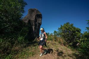 BIB: 
                            <button type="button" onclick="openModal(26578942)" class="btn btn-primary btn-sm float-right btn-popup" data-toggle="modal" data-target=".modal-high-quality">
                        <i class="fas fa-shopping-cart"></i> Add to Cart
                    </button>
                                            <button type="button" onclick="isThisMe(26578942, true)" class="btn btn-success btn-sm float-right btn-popup btn-isme hidden" data-toggle="tooltip" data-placement="bottom" title="นี่คือรูปของคุณใช่ไหม คลิกที่นี่เพื่อเอาเข้าอัลบั้ม">
                        <i class="fas fa-plus"></i> Add to album
                    </button>
                    <button type="button" onclick="isThisMe(26578942, false)" class="btn btn-warning btn-sm float-right btn-popup btn-isnotme hidden">
                        <i class="fas fa-ban"></i> Remove from album
                    </button>