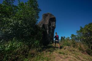 BIB: 
                            <button type="button" onclick="openModal(26579511)" class="btn btn-primary btn-sm float-right btn-popup" data-toggle="modal" data-target=".modal-high-quality">
                        <i class="fas fa-shopping-cart"></i> Add to Cart
                    </button>
                                            <button type="button" onclick="isThisMe(26579511, true)" class="btn btn-success btn-sm float-right btn-popup btn-isme hidden" data-toggle="tooltip" data-placement="bottom" title="นี่คือรูปของคุณใช่ไหม คลิกที่นี่เพื่อเอาเข้าอัลบั้ม">
                        <i class="fas fa-plus"></i> Add to album
                    </button>
                    <button type="button" onclick="isThisMe(26579511, false)" class="btn btn-warning btn-sm float-right btn-popup btn-isnotme hidden">
                        <i class="fas fa-ban"></i> Remove from album
                    </button>