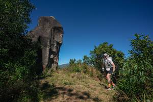 BIB: 
                            <button type="button" onclick="openModal(26575075)" class="btn btn-primary btn-sm float-right btn-popup" data-toggle="modal" data-target=".modal-high-quality">
                        <i class="fas fa-shopping-cart"></i> Add to Cart
                    </button>
                                            <button type="button" onclick="isThisMe(26575075, true)" class="btn btn-success btn-sm float-right btn-popup btn-isme hidden" data-toggle="tooltip" data-placement="bottom" title="นี่คือรูปของคุณใช่ไหม คลิกที่นี่เพื่อเอาเข้าอัลบั้ม">
                        <i class="fas fa-plus"></i> Add to album
                    </button>
                    <button type="button" onclick="isThisMe(26575075, false)" class="btn btn-warning btn-sm float-right btn-popup btn-isnotme hidden">
                        <i class="fas fa-ban"></i> Remove from album
                    </button>