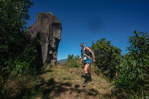 BIB: 
                            <button type="button" onclick="openModal(26575742)" class="btn btn-primary btn-sm float-right btn-popup" data-toggle="modal" data-target=".modal-high-quality">
                        <i class="fas fa-shopping-cart"></i> Add to Cart
                    </button>
                                            <button type="button" onclick="isThisMe(26575742, true)" class="btn btn-success btn-sm float-right btn-popup btn-isme hidden" data-toggle="tooltip" data-placement="bottom" title="นี่คือรูปของคุณใช่ไหม คลิกที่นี่เพื่อเอาเข้าอัลบั้ม">
                        <i class="fas fa-plus"></i> Add to album
                    </button>
                    <button type="button" onclick="isThisMe(26575742, false)" class="btn btn-warning btn-sm float-right btn-popup btn-isnotme hidden">
                        <i class="fas fa-ban"></i> Remove from album
                    </button>