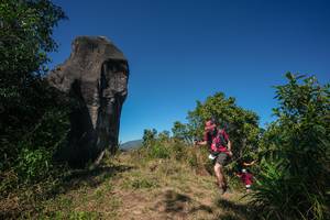 BIB: 
                            <button type="button" onclick="openModal(26578534)" class="btn btn-primary btn-sm float-right btn-popup" data-toggle="modal" data-target=".modal-high-quality">
                        <i class="fas fa-shopping-cart"></i> Add to Cart
                    </button>
                                            <button type="button" onclick="isThisMe(26578534, true)" class="btn btn-success btn-sm float-right btn-popup btn-isme hidden" data-toggle="tooltip" data-placement="bottom" title="นี่คือรูปของคุณใช่ไหม คลิกที่นี่เพื่อเอาเข้าอัลบั้ม">
                        <i class="fas fa-plus"></i> Add to album
                    </button>
                    <button type="button" onclick="isThisMe(26578534, false)" class="btn btn-warning btn-sm float-right btn-popup btn-isnotme hidden">
                        <i class="fas fa-ban"></i> Remove from album
                    </button>