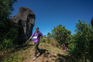 BIB: 
                            <button type="button" onclick="openModal(26578466)" class="btn btn-primary btn-sm float-right btn-popup" data-toggle="modal" data-target=".modal-high-quality">
                        <i class="fas fa-shopping-cart"></i> Add to Cart
                    </button>
                                            <button type="button" onclick="isThisMe(26578466, true)" class="btn btn-success btn-sm float-right btn-popup btn-isme hidden" data-toggle="tooltip" data-placement="bottom" title="นี่คือรูปของคุณใช่ไหม คลิกที่นี่เพื่อเอาเข้าอัลบั้ม">
                        <i class="fas fa-plus"></i> Add to album
                    </button>
                    <button type="button" onclick="isThisMe(26578466, false)" class="btn btn-warning btn-sm float-right btn-popup btn-isnotme hidden">
                        <i class="fas fa-ban"></i> Remove from album
                    </button>