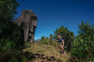 BIB: 
                            <button type="button" onclick="openModal(26575391)" class="btn btn-primary btn-sm float-right btn-popup" data-toggle="modal" data-target=".modal-high-quality">
                        <i class="fas fa-shopping-cart"></i> Add to Cart
                    </button>
                                            <button type="button" onclick="isThisMe(26575391, true)" class="btn btn-success btn-sm float-right btn-popup btn-isme hidden" data-toggle="tooltip" data-placement="bottom" title="นี่คือรูปของคุณใช่ไหม คลิกที่นี่เพื่อเอาเข้าอัลบั้ม">
                        <i class="fas fa-plus"></i> Add to album
                    </button>
                    <button type="button" onclick="isThisMe(26575391, false)" class="btn btn-warning btn-sm float-right btn-popup btn-isnotme hidden">
                        <i class="fas fa-ban"></i> Remove from album
                    </button>