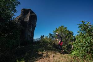 BIB: 
                            <button type="button" onclick="openModal(26589274)" class="btn btn-primary btn-sm float-right btn-popup" data-toggle="modal" data-target=".modal-high-quality">
                        <i class="fas fa-shopping-cart"></i> Add to Cart
                    </button>
                                            <button type="button" onclick="isThisMe(26589274, true)" class="btn btn-success btn-sm float-right btn-popup btn-isme hidden" data-toggle="tooltip" data-placement="bottom" title="นี่คือรูปของคุณใช่ไหม คลิกที่นี่เพื่อเอาเข้าอัลบั้ม">
                        <i class="fas fa-plus"></i> Add to album
                    </button>
                    <button type="button" onclick="isThisMe(26589274, false)" class="btn btn-warning btn-sm float-right btn-popup btn-isnotme hidden">
                        <i class="fas fa-ban"></i> Remove from album
                    </button>