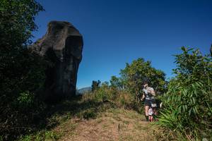 BIB: 
                            <button type="button" onclick="openModal(26584777)" class="btn btn-primary btn-sm float-right btn-popup" data-toggle="modal" data-target=".modal-high-quality">
                        <i class="fas fa-shopping-cart"></i> Add to Cart
                    </button>
                                            <button type="button" onclick="isThisMe(26584777, true)" class="btn btn-success btn-sm float-right btn-popup btn-isme hidden" data-toggle="tooltip" data-placement="bottom" title="นี่คือรูปของคุณใช่ไหม คลิกที่นี่เพื่อเอาเข้าอัลบั้ม">
                        <i class="fas fa-plus"></i> Add to album
                    </button>
                    <button type="button" onclick="isThisMe(26584777, false)" class="btn btn-warning btn-sm float-right btn-popup btn-isnotme hidden">
                        <i class="fas fa-ban"></i> Remove from album
                    </button>