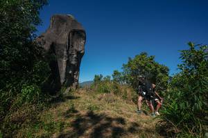 BIB: 
                            <button type="button" onclick="openModal(26576752)" class="btn btn-primary btn-sm float-right btn-popup" data-toggle="modal" data-target=".modal-high-quality">
                        <i class="fas fa-shopping-cart"></i> Add to Cart
                    </button>
                                            <button type="button" onclick="isThisMe(26576752, true)" class="btn btn-success btn-sm float-right btn-popup btn-isme hidden" data-toggle="tooltip" data-placement="bottom" title="นี่คือรูปของคุณใช่ไหม คลิกที่นี่เพื่อเอาเข้าอัลบั้ม">
                        <i class="fas fa-plus"></i> Add to album
                    </button>
                    <button type="button" onclick="isThisMe(26576752, false)" class="btn btn-warning btn-sm float-right btn-popup btn-isnotme hidden">
                        <i class="fas fa-ban"></i> Remove from album
                    </button>