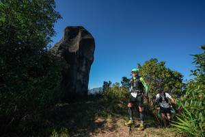 BIB: 
                            <button type="button" onclick="openModal(26588960)" class="btn btn-primary btn-sm float-right btn-popup" data-toggle="modal" data-target=".modal-high-quality">
                        <i class="fas fa-shopping-cart"></i> Add to Cart
                    </button>
                                            <button type="button" onclick="isThisMe(26588960, true)" class="btn btn-success btn-sm float-right btn-popup btn-isme hidden" data-toggle="tooltip" data-placement="bottom" title="นี่คือรูปของคุณใช่ไหม คลิกที่นี่เพื่อเอาเข้าอัลบั้ม">
                        <i class="fas fa-plus"></i> Add to album
                    </button>
                    <button type="button" onclick="isThisMe(26588960, false)" class="btn btn-warning btn-sm float-right btn-popup btn-isnotme hidden">
                        <i class="fas fa-ban"></i> Remove from album
                    </button>