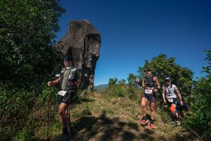 BIB: 
                            <button type="button" onclick="openModal(26576635)" class="btn btn-primary btn-sm float-right btn-popup" data-toggle="modal" data-target=".modal-high-quality">
                        <i class="fas fa-shopping-cart"></i> Add to Cart
                    </button>
                                            <button type="button" onclick="isThisMe(26576635, true)" class="btn btn-success btn-sm float-right btn-popup btn-isme hidden" data-toggle="tooltip" data-placement="bottom" title="นี่คือรูปของคุณใช่ไหม คลิกที่นี่เพื่อเอาเข้าอัลบั้ม">
                        <i class="fas fa-plus"></i> Add to album
                    </button>
                    <button type="button" onclick="isThisMe(26576635, false)" class="btn btn-warning btn-sm float-right btn-popup btn-isnotme hidden">
                        <i class="fas fa-ban"></i> Remove from album
                    </button>