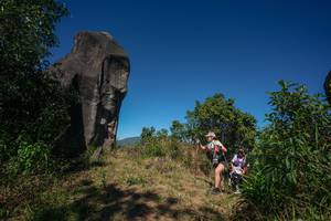 BIB: 
                            <button type="button" onclick="openModal(26576005)" class="btn btn-primary btn-sm float-right btn-popup" data-toggle="modal" data-target=".modal-high-quality">
                        <i class="fas fa-shopping-cart"></i> Add to Cart
                    </button>
                                            <button type="button" onclick="isThisMe(26576005, true)" class="btn btn-success btn-sm float-right btn-popup btn-isme hidden" data-toggle="tooltip" data-placement="bottom" title="นี่คือรูปของคุณใช่ไหม คลิกที่นี่เพื่อเอาเข้าอัลบั้ม">
                        <i class="fas fa-plus"></i> Add to album
                    </button>
                    <button type="button" onclick="isThisMe(26576005, false)" class="btn btn-warning btn-sm float-right btn-popup btn-isnotme hidden">
                        <i class="fas fa-ban"></i> Remove from album
                    </button>