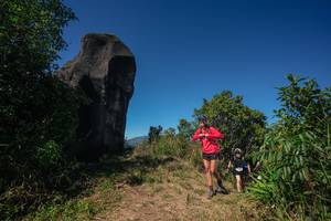 BIB: 
                            <button type="button" onclick="openModal(26583828)" class="btn btn-primary btn-sm float-right btn-popup" data-toggle="modal" data-target=".modal-high-quality">
                        <i class="fas fa-shopping-cart"></i> Add to Cart
                    </button>
                                            <button type="button" onclick="isThisMe(26583828, true)" class="btn btn-success btn-sm float-right btn-popup btn-isme hidden" data-toggle="tooltip" data-placement="bottom" title="นี่คือรูปของคุณใช่ไหม คลิกที่นี่เพื่อเอาเข้าอัลบั้ม">
                        <i class="fas fa-plus"></i> Add to album
                    </button>
                    <button type="button" onclick="isThisMe(26583828, false)" class="btn btn-warning btn-sm float-right btn-popup btn-isnotme hidden">
                        <i class="fas fa-ban"></i> Remove from album
                    </button>