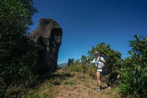 BIB: 
                            <button type="button" onclick="openModal(26581746)" class="btn btn-primary btn-sm float-right btn-popup" data-toggle="modal" data-target=".modal-high-quality">
                        <i class="fas fa-shopping-cart"></i> Add to Cart
                    </button>
                                            <button type="button" onclick="isThisMe(26581746, true)" class="btn btn-success btn-sm float-right btn-popup btn-isme hidden" data-toggle="tooltip" data-placement="bottom" title="นี่คือรูปของคุณใช่ไหม คลิกที่นี่เพื่อเอาเข้าอัลบั้ม">
                        <i class="fas fa-plus"></i> Add to album
                    </button>
                    <button type="button" onclick="isThisMe(26581746, false)" class="btn btn-warning btn-sm float-right btn-popup btn-isnotme hidden">
                        <i class="fas fa-ban"></i> Remove from album
                    </button>