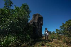 BIB: 
                            <button type="button" onclick="openModal(26582211)" class="btn btn-primary btn-sm float-right btn-popup" data-toggle="modal" data-target=".modal-high-quality">
                        <i class="fas fa-shopping-cart"></i> Add to Cart
                    </button>
                                            <button type="button" onclick="isThisMe(26582211, true)" class="btn btn-success btn-sm float-right btn-popup btn-isme hidden" data-toggle="tooltip" data-placement="bottom" title="นี่คือรูปของคุณใช่ไหม คลิกที่นี่เพื่อเอาเข้าอัลบั้ม">
                        <i class="fas fa-plus"></i> Add to album
                    </button>
                    <button type="button" onclick="isThisMe(26582211, false)" class="btn btn-warning btn-sm float-right btn-popup btn-isnotme hidden">
                        <i class="fas fa-ban"></i> Remove from album
                    </button>