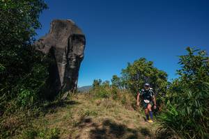 BIB: 
                            <button type="button" onclick="openModal(26577403)" class="btn btn-primary btn-sm float-right btn-popup" data-toggle="modal" data-target=".modal-high-quality">
                        <i class="fas fa-shopping-cart"></i> Add to Cart
                    </button>
                                            <button type="button" onclick="isThisMe(26577403, true)" class="btn btn-success btn-sm float-right btn-popup btn-isme hidden" data-toggle="tooltip" data-placement="bottom" title="นี่คือรูปของคุณใช่ไหม คลิกที่นี่เพื่อเอาเข้าอัลบั้ม">
                        <i class="fas fa-plus"></i> Add to album
                    </button>
                    <button type="button" onclick="isThisMe(26577403, false)" class="btn btn-warning btn-sm float-right btn-popup btn-isnotme hidden">
                        <i class="fas fa-ban"></i> Remove from album
                    </button>