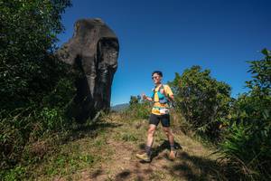 BIB: 
                            <button type="button" onclick="openModal(26578247)" class="btn btn-primary btn-sm float-right btn-popup" data-toggle="modal" data-target=".modal-high-quality">
                        <i class="fas fa-shopping-cart"></i> Add to Cart
                    </button>
                                            <button type="button" onclick="isThisMe(26578247, true)" class="btn btn-success btn-sm float-right btn-popup btn-isme hidden" data-toggle="tooltip" data-placement="bottom" title="นี่คือรูปของคุณใช่ไหม คลิกที่นี่เพื่อเอาเข้าอัลบั้ม">
                        <i class="fas fa-plus"></i> Add to album
                    </button>
                    <button type="button" onclick="isThisMe(26578247, false)" class="btn btn-warning btn-sm float-right btn-popup btn-isnotme hidden">
                        <i class="fas fa-ban"></i> Remove from album
                    </button>