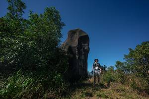 BIB: 
                            <button type="button" onclick="openModal(26582213)" class="btn btn-primary btn-sm float-right btn-popup" data-toggle="modal" data-target=".modal-high-quality">
                        <i class="fas fa-shopping-cart"></i> Add to Cart
                    </button>
                                            <button type="button" onclick="isThisMe(26582213, true)" class="btn btn-success btn-sm float-right btn-popup btn-isme hidden" data-toggle="tooltip" data-placement="bottom" title="นี่คือรูปของคุณใช่ไหม คลิกที่นี่เพื่อเอาเข้าอัลบั้ม">
                        <i class="fas fa-plus"></i> Add to album
                    </button>
                    <button type="button" onclick="isThisMe(26582213, false)" class="btn btn-warning btn-sm float-right btn-popup btn-isnotme hidden">
                        <i class="fas fa-ban"></i> Remove from album
                    </button>