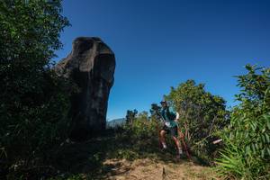 BIB: 
                            <button type="button" onclick="openModal(26588215)" class="btn btn-primary btn-sm float-right btn-popup" data-toggle="modal" data-target=".modal-high-quality">
                        <i class="fas fa-shopping-cart"></i> Add to Cart
                    </button>
                                            <button type="button" onclick="isThisMe(26588215, true)" class="btn btn-success btn-sm float-right btn-popup btn-isme hidden" data-toggle="tooltip" data-placement="bottom" title="นี่คือรูปของคุณใช่ไหม คลิกที่นี่เพื่อเอาเข้าอัลบั้ม">
                        <i class="fas fa-plus"></i> Add to album
                    </button>
                    <button type="button" onclick="isThisMe(26588215, false)" class="btn btn-warning btn-sm float-right btn-popup btn-isnotme hidden">
                        <i class="fas fa-ban"></i> Remove from album
                    </button>