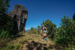 BIB: 
                            <button type="button" onclick="openModal(26577091)" class="btn btn-primary btn-sm float-right btn-popup" data-toggle="modal" data-target=".modal-high-quality">
                        <i class="fas fa-shopping-cart"></i> Add to Cart
                    </button>
                                            <button type="button" onclick="isThisMe(26577091, true)" class="btn btn-success btn-sm float-right btn-popup btn-isme hidden" data-toggle="tooltip" data-placement="bottom" title="นี่คือรูปของคุณใช่ไหม คลิกที่นี่เพื่อเอาเข้าอัลบั้ม">
                        <i class="fas fa-plus"></i> Add to album
                    </button>
                    <button type="button" onclick="isThisMe(26577091, false)" class="btn btn-warning btn-sm float-right btn-popup btn-isnotme hidden">
                        <i class="fas fa-ban"></i> Remove from album
                    </button>