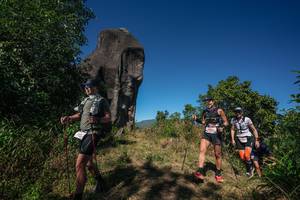 BIB: 
                            <button type="button" onclick="openModal(26576639)" class="btn btn-primary btn-sm float-right btn-popup" data-toggle="modal" data-target=".modal-high-quality">
                        <i class="fas fa-shopping-cart"></i> Add to Cart
                    </button>
                                            <button type="button" onclick="isThisMe(26576639, true)" class="btn btn-success btn-sm float-right btn-popup btn-isme hidden" data-toggle="tooltip" data-placement="bottom" title="นี่คือรูปของคุณใช่ไหม คลิกที่นี่เพื่อเอาเข้าอัลบั้ม">
                        <i class="fas fa-plus"></i> Add to album
                    </button>
                    <button type="button" onclick="isThisMe(26576639, false)" class="btn btn-warning btn-sm float-right btn-popup btn-isnotme hidden">
                        <i class="fas fa-ban"></i> Remove from album
                    </button>