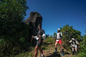 BIB: 
                            <button type="button" onclick="openModal(26584313)" class="btn btn-primary btn-sm float-right btn-popup" data-toggle="modal" data-target=".modal-high-quality">
                        <i class="fas fa-shopping-cart"></i> Add to Cart
                    </button>
                                            <button type="button" onclick="isThisMe(26584313, true)" class="btn btn-success btn-sm float-right btn-popup btn-isme hidden" data-toggle="tooltip" data-placement="bottom" title="นี่คือรูปของคุณใช่ไหม คลิกที่นี่เพื่อเอาเข้าอัลบั้ม">
                        <i class="fas fa-plus"></i> Add to album
                    </button>
                    <button type="button" onclick="isThisMe(26584313, false)" class="btn btn-warning btn-sm float-right btn-popup btn-isnotme hidden">
                        <i class="fas fa-ban"></i> Remove from album
                    </button>