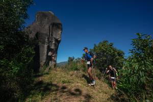 BIB: 
                            <button type="button" onclick="openModal(26574609)" class="btn btn-primary btn-sm float-right btn-popup" data-toggle="modal" data-target=".modal-high-quality">
                        <i class="fas fa-shopping-cart"></i> Add to Cart
                    </button>
                                            <button type="button" onclick="isThisMe(26574609, true)" class="btn btn-success btn-sm float-right btn-popup btn-isme hidden" data-toggle="tooltip" data-placement="bottom" title="นี่คือรูปของคุณใช่ไหม คลิกที่นี่เพื่อเอาเข้าอัลบั้ม">
                        <i class="fas fa-plus"></i> Add to album
                    </button>
                    <button type="button" onclick="isThisMe(26574609, false)" class="btn btn-warning btn-sm float-right btn-popup btn-isnotme hidden">
                        <i class="fas fa-ban"></i> Remove from album
                    </button>