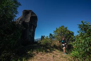 BIB: 
                            <button type="button" onclick="openModal(26587117)" class="btn btn-primary btn-sm float-right btn-popup" data-toggle="modal" data-target=".modal-high-quality">
                        <i class="fas fa-shopping-cart"></i> Add to Cart
                    </button>
                                            <button type="button" onclick="isThisMe(26587117, true)" class="btn btn-success btn-sm float-right btn-popup btn-isme hidden" data-toggle="tooltip" data-placement="bottom" title="นี่คือรูปของคุณใช่ไหม คลิกที่นี่เพื่อเอาเข้าอัลบั้ม">
                        <i class="fas fa-plus"></i> Add to album
                    </button>
                    <button type="button" onclick="isThisMe(26587117, false)" class="btn btn-warning btn-sm float-right btn-popup btn-isnotme hidden">
                        <i class="fas fa-ban"></i> Remove from album
                    </button>