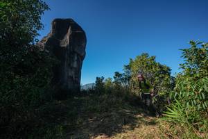 BIB: 
                            <button type="button" onclick="openModal(26592196)" class="btn btn-primary btn-sm float-right btn-popup" data-toggle="modal" data-target=".modal-high-quality">
                        <i class="fas fa-shopping-cart"></i> Add to Cart
                    </button>
                                            <button type="button" onclick="isThisMe(26592196, true)" class="btn btn-success btn-sm float-right btn-popup btn-isme hidden" data-toggle="tooltip" data-placement="bottom" title="นี่คือรูปของคุณใช่ไหม คลิกที่นี่เพื่อเอาเข้าอัลบั้ม">
                        <i class="fas fa-plus"></i> Add to album
                    </button>
                    <button type="button" onclick="isThisMe(26592196, false)" class="btn btn-warning btn-sm float-right btn-popup btn-isnotme hidden">
                        <i class="fas fa-ban"></i> Remove from album
                    </button>