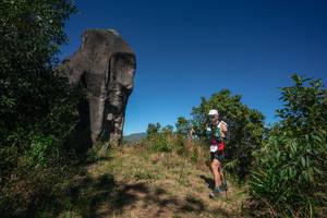 BIB: 
                            <button type="button" onclick="openModal(26575500)" class="btn btn-primary btn-sm float-right btn-popup" data-toggle="modal" data-target=".modal-high-quality">
                        <i class="fas fa-shopping-cart"></i> Add to Cart
                    </button>
                                            <button type="button" onclick="isThisMe(26575500, true)" class="btn btn-success btn-sm float-right btn-popup btn-isme hidden" data-toggle="tooltip" data-placement="bottom" title="นี่คือรูปของคุณใช่ไหม คลิกที่นี่เพื่อเอาเข้าอัลบั้ม">
                        <i class="fas fa-plus"></i> Add to album
                    </button>
                    <button type="button" onclick="isThisMe(26575500, false)" class="btn btn-warning btn-sm float-right btn-popup btn-isnotme hidden">
                        <i class="fas fa-ban"></i> Remove from album
                    </button>