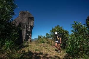 BIB: 
                            <button type="button" onclick="openModal(26575945)" class="btn btn-primary btn-sm float-right btn-popup" data-toggle="modal" data-target=".modal-high-quality">
                        <i class="fas fa-shopping-cart"></i> Add to Cart
                    </button>
                                            <button type="button" onclick="isThisMe(26575945, true)" class="btn btn-success btn-sm float-right btn-popup btn-isme hidden" data-toggle="tooltip" data-placement="bottom" title="นี่คือรูปของคุณใช่ไหม คลิกที่นี่เพื่อเอาเข้าอัลบั้ม">
                        <i class="fas fa-plus"></i> Add to album
                    </button>
                    <button type="button" onclick="isThisMe(26575945, false)" class="btn btn-warning btn-sm float-right btn-popup btn-isnotme hidden">
                        <i class="fas fa-ban"></i> Remove from album
                    </button>