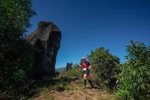 BIB: 
                            <button type="button" onclick="openModal(26583910)" class="btn btn-primary btn-sm float-right btn-popup" data-toggle="modal" data-target=".modal-high-quality">
                        <i class="fas fa-shopping-cart"></i> Add to Cart
                    </button>
                                            <button type="button" onclick="isThisMe(26583910, true)" class="btn btn-success btn-sm float-right btn-popup btn-isme hidden" data-toggle="tooltip" data-placement="bottom" title="นี่คือรูปของคุณใช่ไหม คลิกที่นี่เพื่อเอาเข้าอัลบั้ม">
                        <i class="fas fa-plus"></i> Add to album
                    </button>
                    <button type="button" onclick="isThisMe(26583910, false)" class="btn btn-warning btn-sm float-right btn-popup btn-isnotme hidden">
                        <i class="fas fa-ban"></i> Remove from album
                    </button>