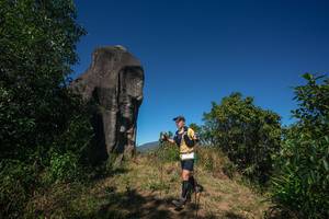 BIB: 
                            <button type="button" onclick="openModal(26575928)" class="btn btn-primary btn-sm float-right btn-popup" data-toggle="modal" data-target=".modal-high-quality">
                        <i class="fas fa-shopping-cart"></i> Add to Cart
                    </button>
                                            <button type="button" onclick="isThisMe(26575928, true)" class="btn btn-success btn-sm float-right btn-popup btn-isme hidden" data-toggle="tooltip" data-placement="bottom" title="นี่คือรูปของคุณใช่ไหม คลิกที่นี่เพื่อเอาเข้าอัลบั้ม">
                        <i class="fas fa-plus"></i> Add to album
                    </button>
                    <button type="button" onclick="isThisMe(26575928, false)" class="btn btn-warning btn-sm float-right btn-popup btn-isnotme hidden">
                        <i class="fas fa-ban"></i> Remove from album
                    </button>