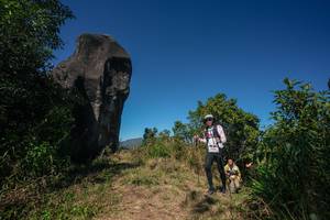 BIB: 
                            <button type="button" onclick="openModal(26579144)" class="btn btn-primary btn-sm float-right btn-popup" data-toggle="modal" data-target=".modal-high-quality">
                        <i class="fas fa-shopping-cart"></i> Add to Cart
                    </button>
                                            <button type="button" onclick="isThisMe(26579144, true)" class="btn btn-success btn-sm float-right btn-popup btn-isme hidden" data-toggle="tooltip" data-placement="bottom" title="นี่คือรูปของคุณใช่ไหม คลิกที่นี่เพื่อเอาเข้าอัลบั้ม">
                        <i class="fas fa-plus"></i> Add to album
                    </button>
                    <button type="button" onclick="isThisMe(26579144, false)" class="btn btn-warning btn-sm float-right btn-popup btn-isnotme hidden">
                        <i class="fas fa-ban"></i> Remove from album
                    </button>