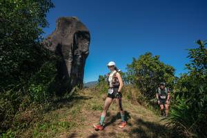 BIB: 
                            <button type="button" onclick="openModal(26578232)" class="btn btn-primary btn-sm float-right btn-popup" data-toggle="modal" data-target=".modal-high-quality">
                        <i class="fas fa-shopping-cart"></i> Add to Cart
                    </button>
                                            <button type="button" onclick="isThisMe(26578232, true)" class="btn btn-success btn-sm float-right btn-popup btn-isme hidden" data-toggle="tooltip" data-placement="bottom" title="นี่คือรูปของคุณใช่ไหม คลิกที่นี่เพื่อเอาเข้าอัลบั้ม">
                        <i class="fas fa-plus"></i> Add to album
                    </button>
                    <button type="button" onclick="isThisMe(26578232, false)" class="btn btn-warning btn-sm float-right btn-popup btn-isnotme hidden">
                        <i class="fas fa-ban"></i> Remove from album
                    </button>