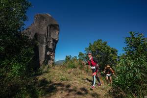 BIB: 
                            <button type="button" onclick="openModal(26575241)" class="btn btn-primary btn-sm float-right btn-popup" data-toggle="modal" data-target=".modal-high-quality">
                        <i class="fas fa-shopping-cart"></i> Add to Cart
                    </button>
                                            <button type="button" onclick="isThisMe(26575241, true)" class="btn btn-success btn-sm float-right btn-popup btn-isme hidden" data-toggle="tooltip" data-placement="bottom" title="นี่คือรูปของคุณใช่ไหม คลิกที่นี่เพื่อเอาเข้าอัลบั้ม">
                        <i class="fas fa-plus"></i> Add to album
                    </button>
                    <button type="button" onclick="isThisMe(26575241, false)" class="btn btn-warning btn-sm float-right btn-popup btn-isnotme hidden">
                        <i class="fas fa-ban"></i> Remove from album
                    </button>