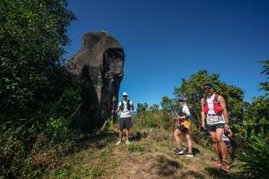 BIB: 
                            <button type="button" onclick="openModal(26578651)" class="btn btn-primary btn-sm float-right btn-popup" data-toggle="modal" data-target=".modal-high-quality">
                        <i class="fas fa-shopping-cart"></i> Add to Cart
                    </button>
                                            <button type="button" onclick="isThisMe(26578651, true)" class="btn btn-success btn-sm float-right btn-popup btn-isme hidden" data-toggle="tooltip" data-placement="bottom" title="นี่คือรูปของคุณใช่ไหม คลิกที่นี่เพื่อเอาเข้าอัลบั้ม">
                        <i class="fas fa-plus"></i> Add to album
                    </button>
                    <button type="button" onclick="isThisMe(26578651, false)" class="btn btn-warning btn-sm float-right btn-popup btn-isnotme hidden">
                        <i class="fas fa-ban"></i> Remove from album
                    </button>