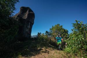 BIB: 
                            <button type="button" onclick="openModal(26590515)" class="btn btn-primary btn-sm float-right btn-popup" data-toggle="modal" data-target=".modal-high-quality">
                        <i class="fas fa-shopping-cart"></i> Add to Cart
                    </button>
                                            <button type="button" onclick="isThisMe(26590515, true)" class="btn btn-success btn-sm float-right btn-popup btn-isme hidden" data-toggle="tooltip" data-placement="bottom" title="นี่คือรูปของคุณใช่ไหม คลิกที่นี่เพื่อเอาเข้าอัลบั้ม">
                        <i class="fas fa-plus"></i> Add to album
                    </button>
                    <button type="button" onclick="isThisMe(26590515, false)" class="btn btn-warning btn-sm float-right btn-popup btn-isnotme hidden">
                        <i class="fas fa-ban"></i> Remove from album
                    </button>