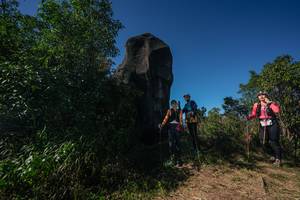 BIB: 
                            <button type="button" onclick="openModal(26587390)" class="btn btn-primary btn-sm float-right btn-popup" data-toggle="modal" data-target=".modal-high-quality">
                        <i class="fas fa-shopping-cart"></i> Add to Cart
                    </button>
                                            <button type="button" onclick="isThisMe(26587390, true)" class="btn btn-success btn-sm float-right btn-popup btn-isme hidden" data-toggle="tooltip" data-placement="bottom" title="นี่คือรูปของคุณใช่ไหม คลิกที่นี่เพื่อเอาเข้าอัลบั้ม">
                        <i class="fas fa-plus"></i> Add to album
                    </button>
                    <button type="button" onclick="isThisMe(26587390, false)" class="btn btn-warning btn-sm float-right btn-popup btn-isnotme hidden">
                        <i class="fas fa-ban"></i> Remove from album
                    </button>