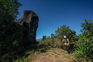 BIB: 
                            <button type="button" onclick="openModal(26585107)" class="btn btn-primary btn-sm float-right btn-popup" data-toggle="modal" data-target=".modal-high-quality">
                        <i class="fas fa-shopping-cart"></i> Add to Cart
                    </button>
                                            <button type="button" onclick="isThisMe(26585107, true)" class="btn btn-success btn-sm float-right btn-popup btn-isme hidden" data-toggle="tooltip" data-placement="bottom" title="นี่คือรูปของคุณใช่ไหม คลิกที่นี่เพื่อเอาเข้าอัลบั้ม">
                        <i class="fas fa-plus"></i> Add to album
                    </button>
                    <button type="button" onclick="isThisMe(26585107, false)" class="btn btn-warning btn-sm float-right btn-popup btn-isnotme hidden">
                        <i class="fas fa-ban"></i> Remove from album
                    </button>