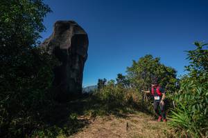 BIB: 
                            <button type="button" onclick="openModal(26587645)" class="btn btn-primary btn-sm float-right btn-popup" data-toggle="modal" data-target=".modal-high-quality">
                        <i class="fas fa-shopping-cart"></i> Add to Cart
                    </button>
                                            <button type="button" onclick="isThisMe(26587645, true)" class="btn btn-success btn-sm float-right btn-popup btn-isme hidden" data-toggle="tooltip" data-placement="bottom" title="นี่คือรูปของคุณใช่ไหม คลิกที่นี่เพื่อเอาเข้าอัลบั้ม">
                        <i class="fas fa-plus"></i> Add to album
                    </button>
                    <button type="button" onclick="isThisMe(26587645, false)" class="btn btn-warning btn-sm float-right btn-popup btn-isnotme hidden">
                        <i class="fas fa-ban"></i> Remove from album
                    </button>