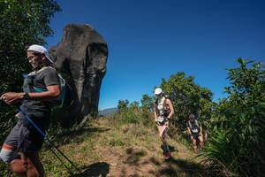 BIB: 
                            <button type="button" onclick="openModal(26578225)" class="btn btn-primary btn-sm float-right btn-popup" data-toggle="modal" data-target=".modal-high-quality">
                        <i class="fas fa-shopping-cart"></i> Add to Cart
                    </button>
                                            <button type="button" onclick="isThisMe(26578225, true)" class="btn btn-success btn-sm float-right btn-popup btn-isme hidden" data-toggle="tooltip" data-placement="bottom" title="นี่คือรูปของคุณใช่ไหม คลิกที่นี่เพื่อเอาเข้าอัลบั้ม">
                        <i class="fas fa-plus"></i> Add to album
                    </button>
                    <button type="button" onclick="isThisMe(26578225, false)" class="btn btn-warning btn-sm float-right btn-popup btn-isnotme hidden">
                        <i class="fas fa-ban"></i> Remove from album
                    </button>