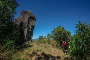 BIB: 
                            <button type="button" onclick="openModal(26577184)" class="btn btn-primary btn-sm float-right btn-popup" data-toggle="modal" data-target=".modal-high-quality">
                        <i class="fas fa-shopping-cart"></i> Add to Cart
                    </button>
                                            <button type="button" onclick="isThisMe(26577184, true)" class="btn btn-success btn-sm float-right btn-popup btn-isme hidden" data-toggle="tooltip" data-placement="bottom" title="นี่คือรูปของคุณใช่ไหม คลิกที่นี่เพื่อเอาเข้าอัลบั้ม">
                        <i class="fas fa-plus"></i> Add to album
                    </button>
                    <button type="button" onclick="isThisMe(26577184, false)" class="btn btn-warning btn-sm float-right btn-popup btn-isnotme hidden">
                        <i class="fas fa-ban"></i> Remove from album
                    </button>