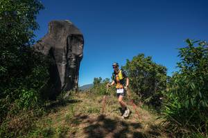 BIB: 
                            <button type="button" onclick="openModal(26577165)" class="btn btn-primary btn-sm float-right btn-popup" data-toggle="modal" data-target=".modal-high-quality">
                        <i class="fas fa-shopping-cart"></i> Add to Cart
                    </button>
                                            <button type="button" onclick="isThisMe(26577165, true)" class="btn btn-success btn-sm float-right btn-popup btn-isme hidden" data-toggle="tooltip" data-placement="bottom" title="นี่คือรูปของคุณใช่ไหม คลิกที่นี่เพื่อเอาเข้าอัลบั้ม">
                        <i class="fas fa-plus"></i> Add to album
                    </button>
                    <button type="button" onclick="isThisMe(26577165, false)" class="btn btn-warning btn-sm float-right btn-popup btn-isnotme hidden">
                        <i class="fas fa-ban"></i> Remove from album
                    </button>