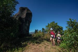 BIB: 
                            <button type="button" onclick="openModal(26586594)" class="btn btn-primary btn-sm float-right btn-popup" data-toggle="modal" data-target=".modal-high-quality">
                        <i class="fas fa-shopping-cart"></i> Add to Cart
                    </button>
                                            <button type="button" onclick="isThisMe(26586594, true)" class="btn btn-success btn-sm float-right btn-popup btn-isme hidden" data-toggle="tooltip" data-placement="bottom" title="นี่คือรูปของคุณใช่ไหม คลิกที่นี่เพื่อเอาเข้าอัลบั้ม">
                        <i class="fas fa-plus"></i> Add to album
                    </button>
                    <button type="button" onclick="isThisMe(26586594, false)" class="btn btn-warning btn-sm float-right btn-popup btn-isnotme hidden">
                        <i class="fas fa-ban"></i> Remove from album
                    </button>