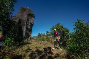 BIB: 
                            <button type="button" onclick="openModal(26576852)" class="btn btn-primary btn-sm float-right btn-popup" data-toggle="modal" data-target=".modal-high-quality">
                        <i class="fas fa-shopping-cart"></i> Add to Cart
                    </button>
                                            <button type="button" onclick="isThisMe(26576852, true)" class="btn btn-success btn-sm float-right btn-popup btn-isme hidden" data-toggle="tooltip" data-placement="bottom" title="นี่คือรูปของคุณใช่ไหม คลิกที่นี่เพื่อเอาเข้าอัลบั้ม">
                        <i class="fas fa-plus"></i> Add to album
                    </button>
                    <button type="button" onclick="isThisMe(26576852, false)" class="btn btn-warning btn-sm float-right btn-popup btn-isnotme hidden">
                        <i class="fas fa-ban"></i> Remove from album
                    </button>